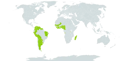 Zornia sericea world distribution map, present in Angola, Argentina, Burundi, Benin, Bolivia (Plurinational State of), Brazil, Côte d'Ivoire, Cameroon, Colombia, Ghana, Guinea, French Guiana, Guyana, Liberia, Madagascar, Mali, Nigeria, Peru, Paraguay, Senegal, Sierra Leone, Suriname, Togo, Uruguay, and Venezuela (Bolivarian Republic of)