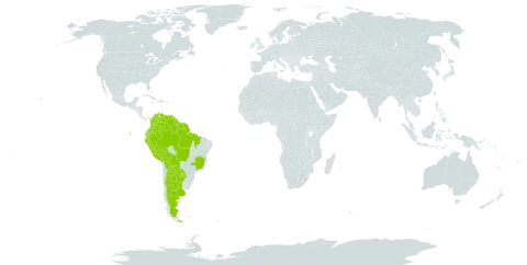 Zygia cataractae world distribution map, present in Argentina, American Samoa, Bolivia (Plurinational State of), Brazil, Colombia, Ecuador, French Guiana, Guyana, Peru, Paraguay, Suriname, and Venezuela (Bolivarian Republic of)