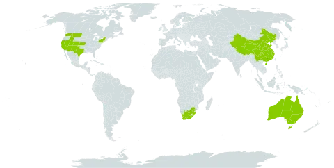 Zygophyllum world distribution map, present in Australia, China, United States of America, and South Africa